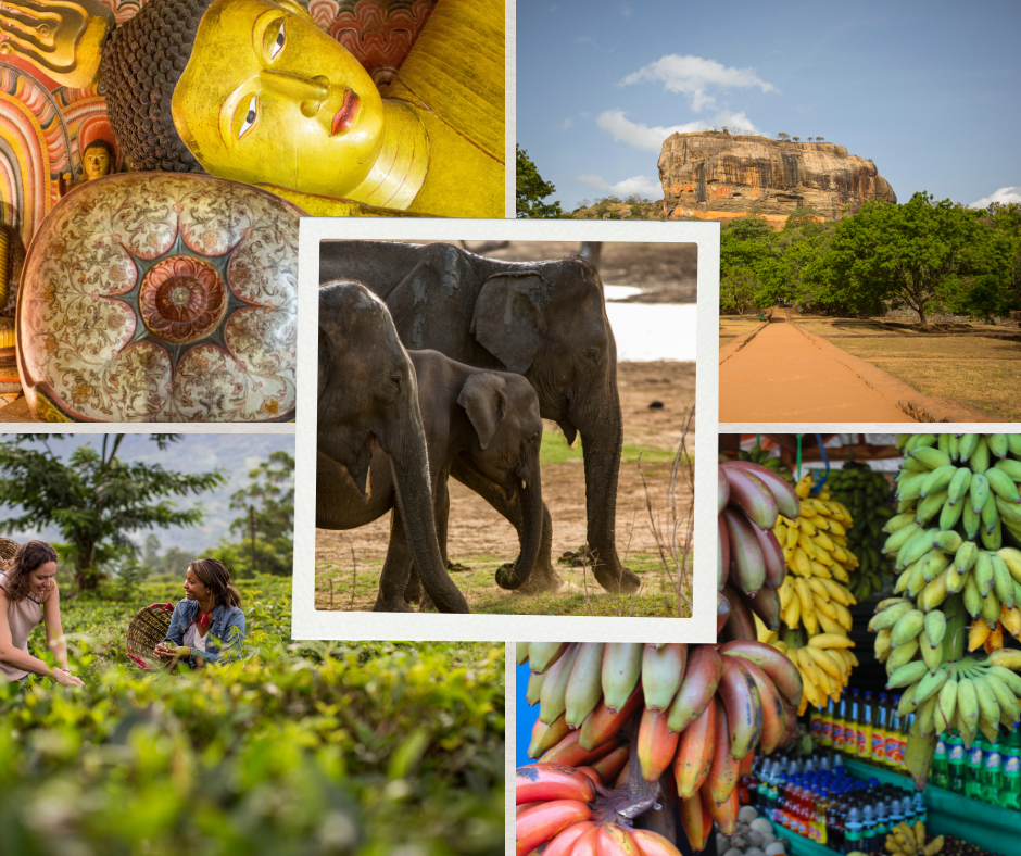 Sri Lanka -private group tour  - November 2027